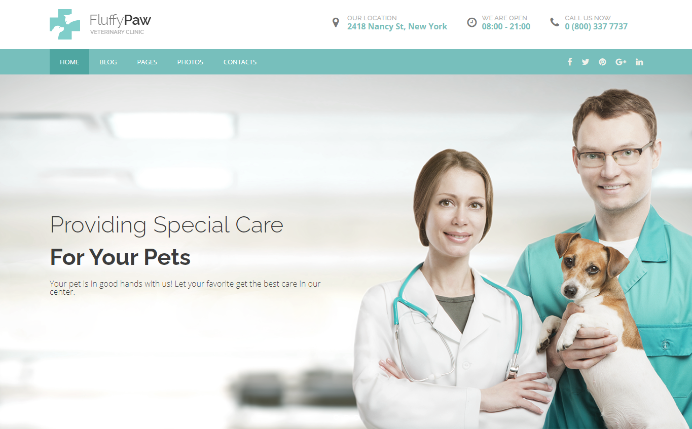 Fluffy Paw – Best Animal and Pet Care WordPress Theme Fluffy Paw - Best Animal and Pet Care WordPress Theme