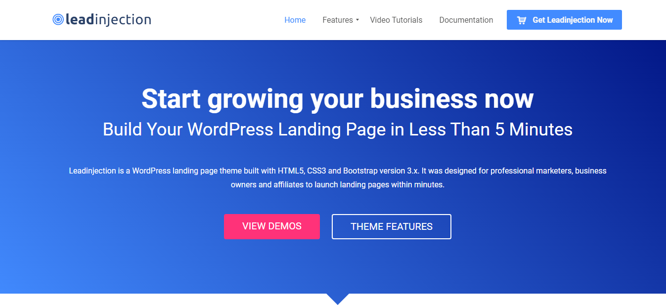 Leadinjection – Best Lead Generation WordPress Theme Leadinjection - Best Lead Generation WordPress Theme