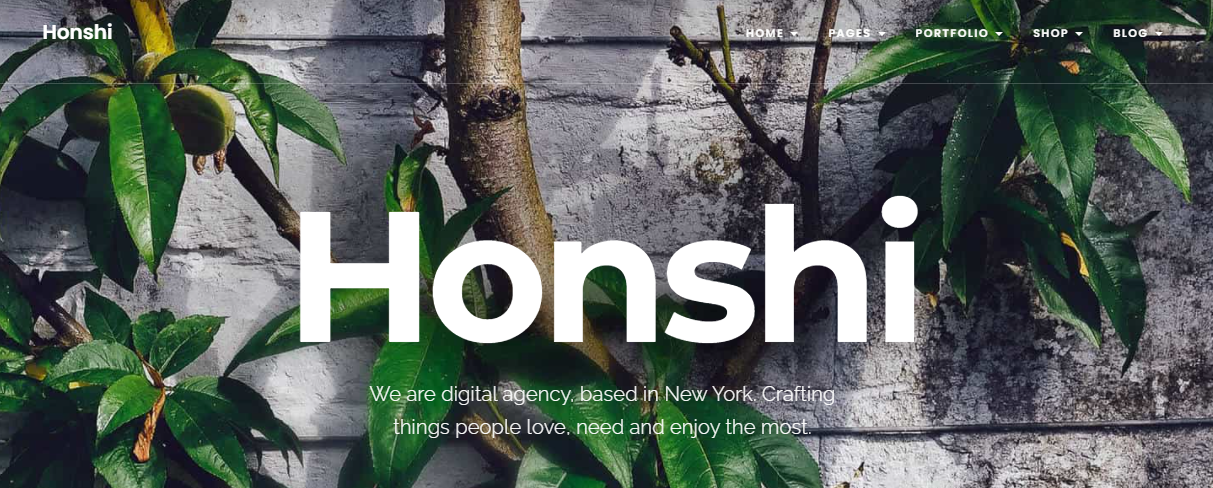 honshi