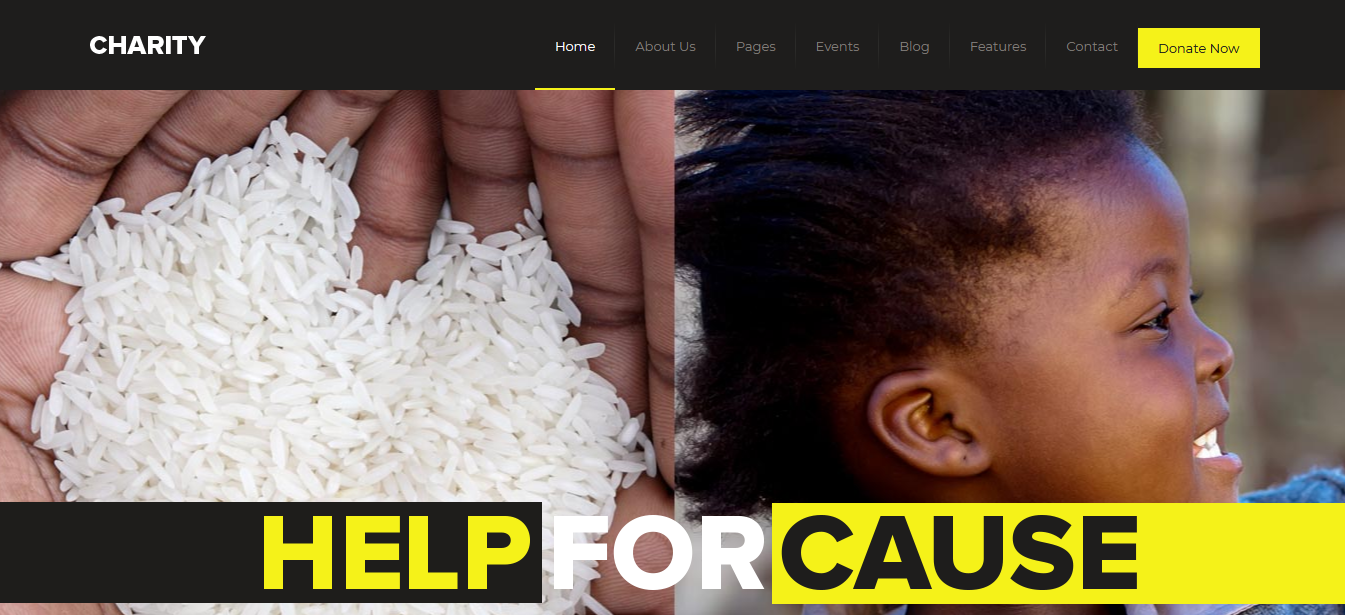 Charity – Best WordPress Theme for Non Profit Organizations Charity - Best WordPress Theme for Non Profit Organizations