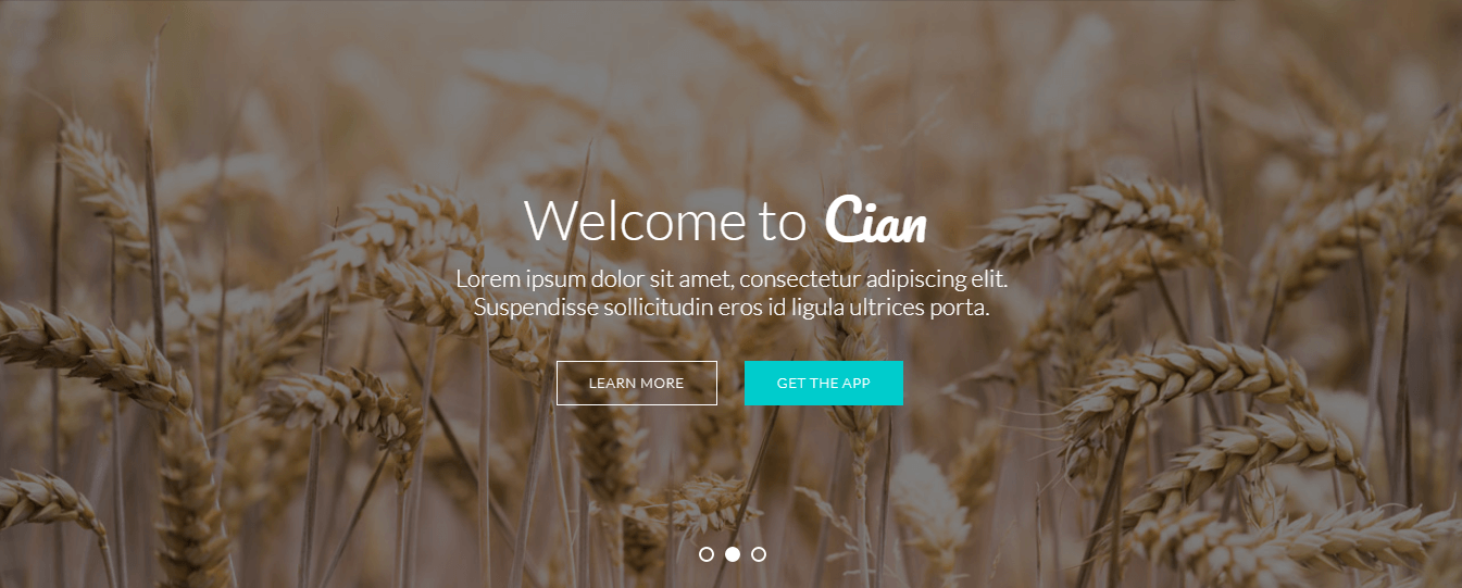 cian landing page theme