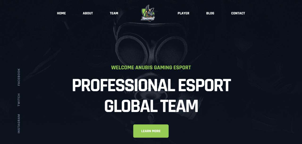 IT company webflow templates – Anubis IT company webflow templates