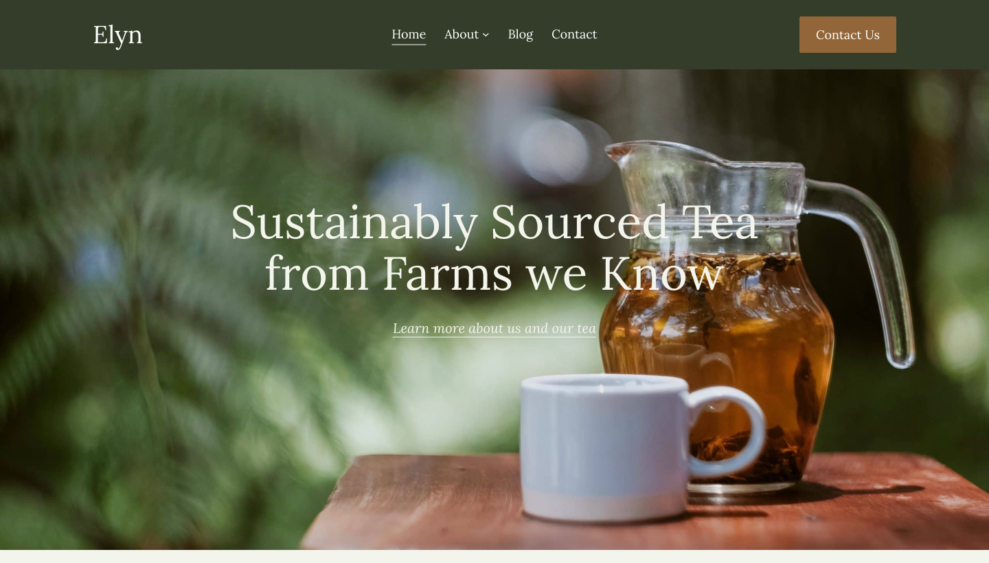 Full site editing themes-Elyn Full site editing themes