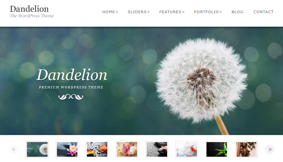 Dandelion – Best Gallery WordPress Themes Dandelion - Best Gallery WordPress Themes