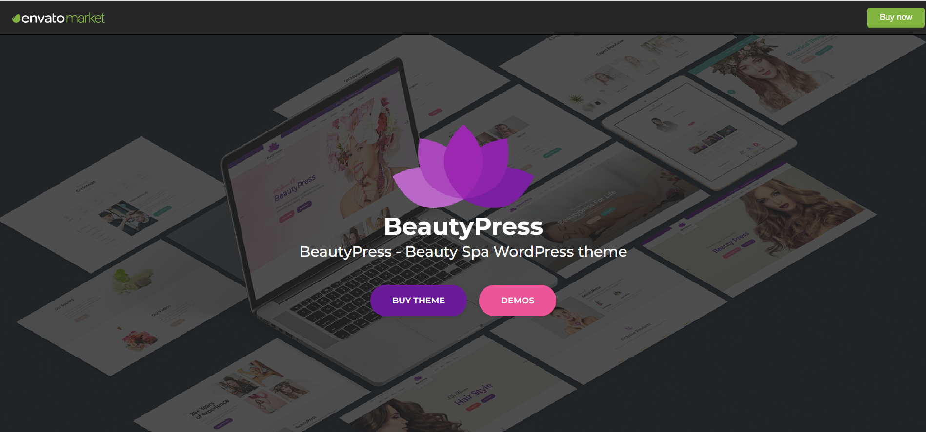 Beauty press Beauty salon wordpress theme