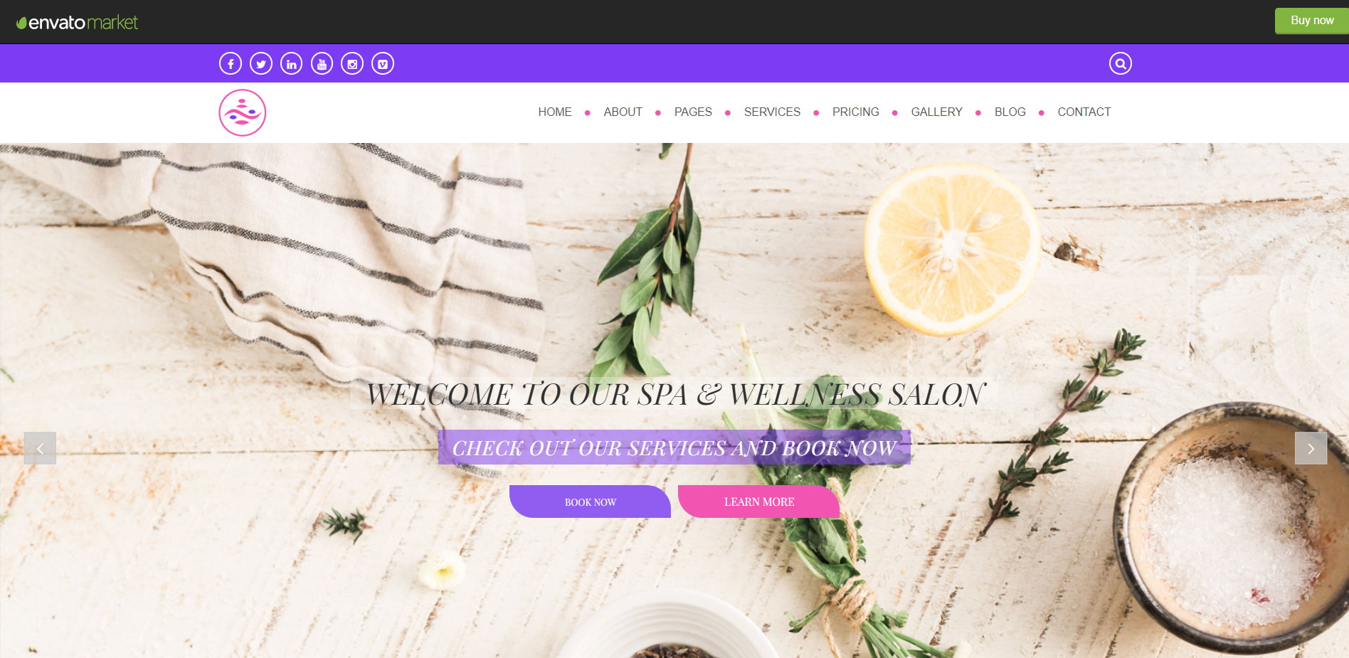 spa-wellness salon Balanced Spa wordpress theme