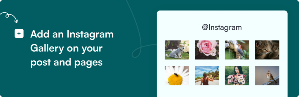 Gutena PhotoFeed Gutena PhotoFeed