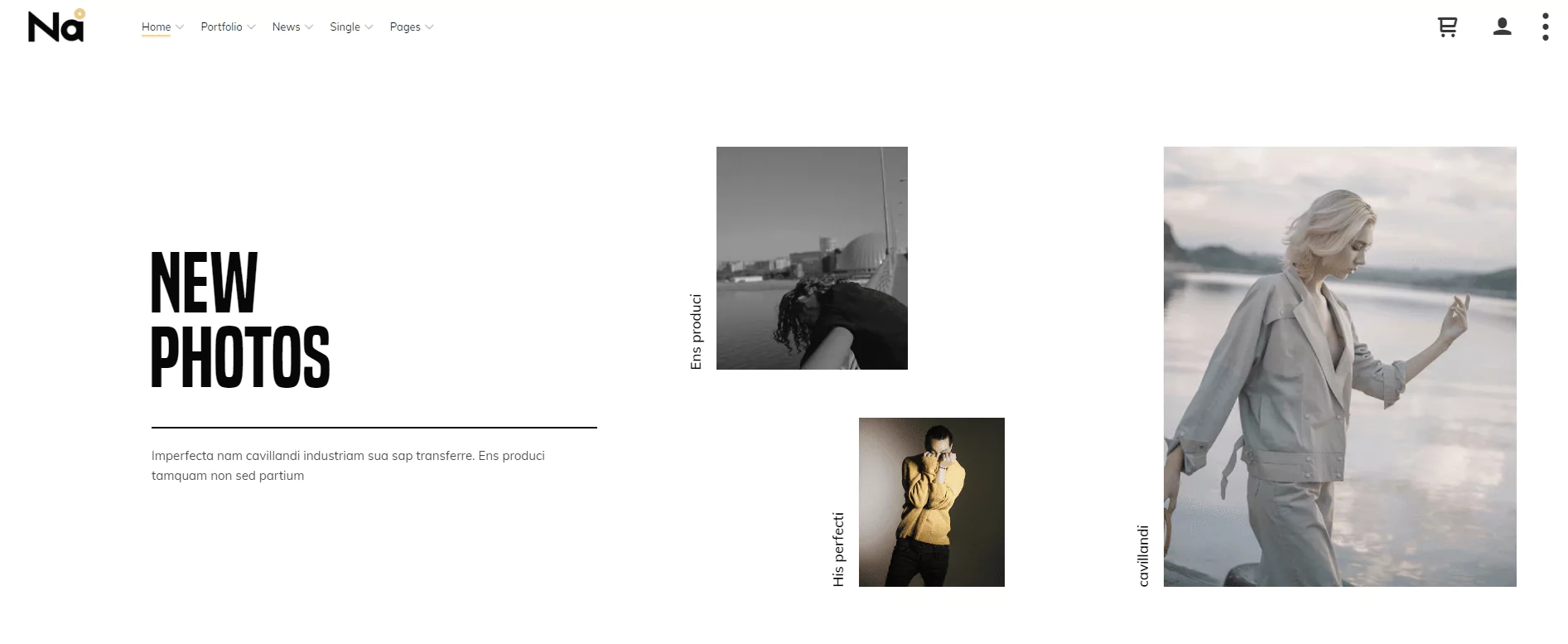 thena-photography-portfolio-wordpress-theme-preview-themeforest-6581a60127776 thena-photography-portfolio-wordpress