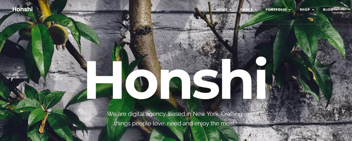 honshi-65942f2b194b5 honshi