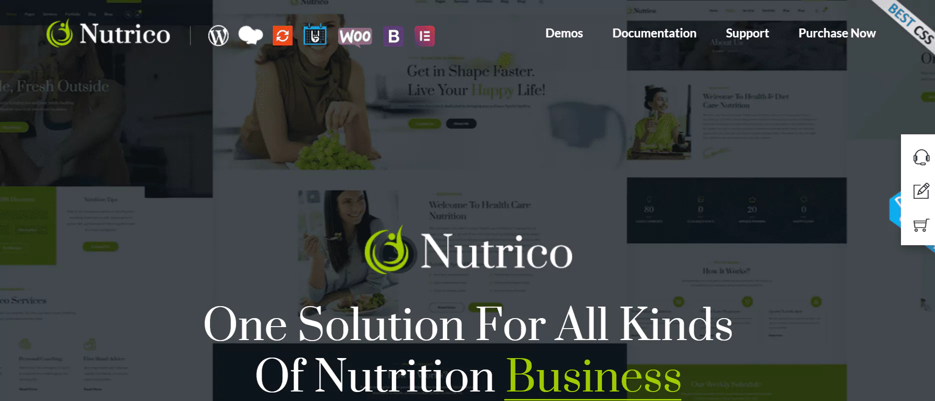 nutrico-nutrition-health-services-wordpress-theme-preview-themeforest-65942462afc4d nutrico-nutrition-health-services-wordpress-theme