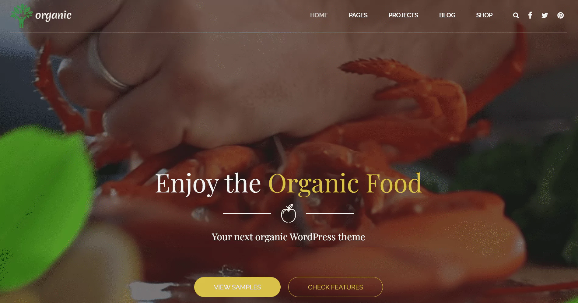 organic-food-nutritionist-farm-preview-themeforest-6594246031c67 organic-food-nutritionist-farm