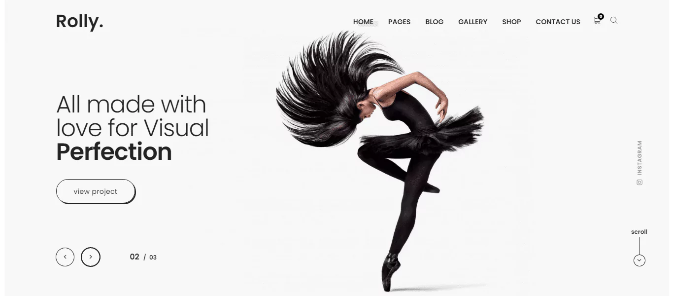 rolly-theme-6594295ff23b5 rolly-theme