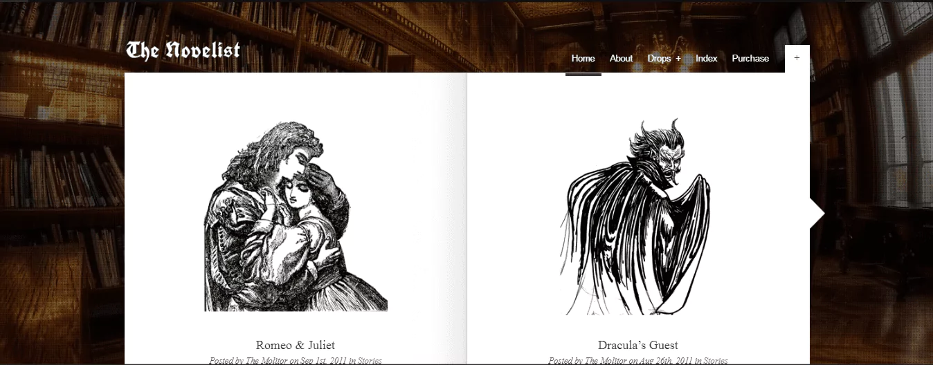 the-novelist-best-wordpress-writers-and-authors-theme-6594331c80f9c the-novelist-best-wordpress-writers-and-authors-theme