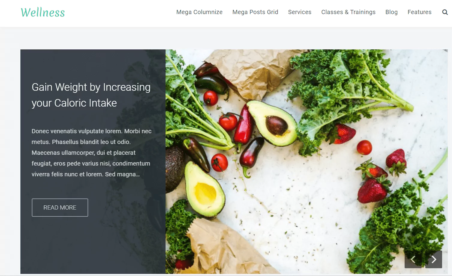 wellness-1-6594331c3c700 wellness