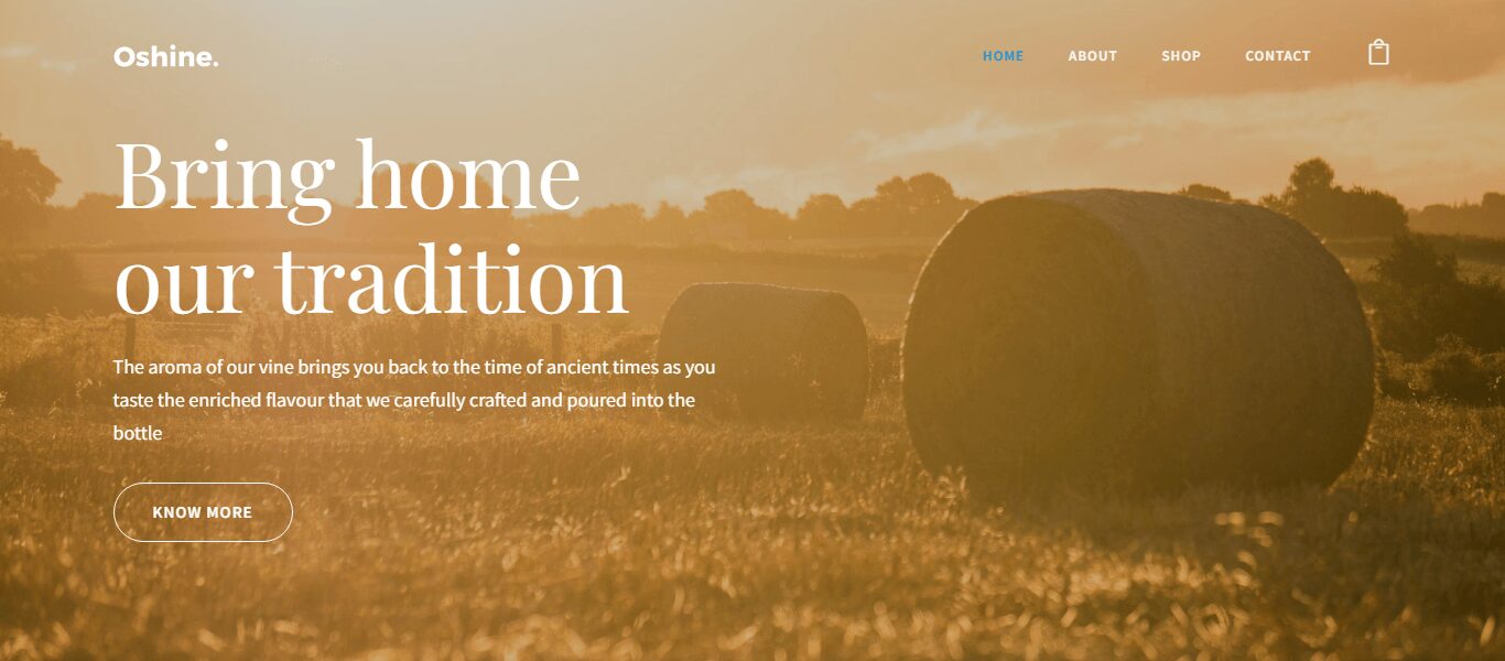 oshine-wordpress-blog-theme