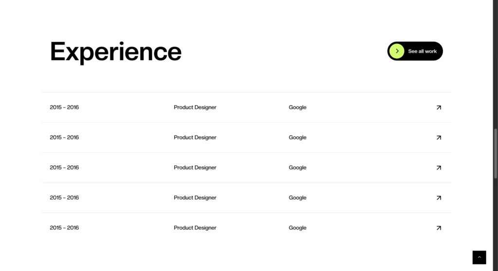 Oshine Portfolio Theme - Experience